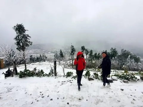 Dự báo thời tiết 30/1: Không khí lạnh cực mạnh tràn về, miền Bắc sắp rét sâu dưới 8°C