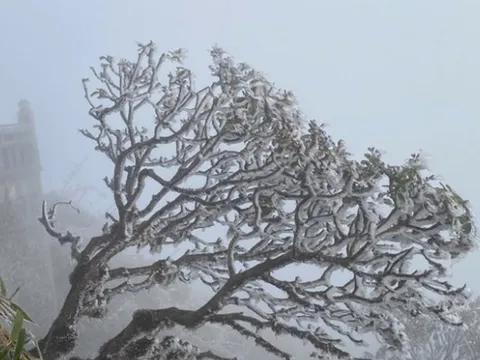 Miền Bắc đón đợt không khí lạnh cực mạnh, trời rét đậm