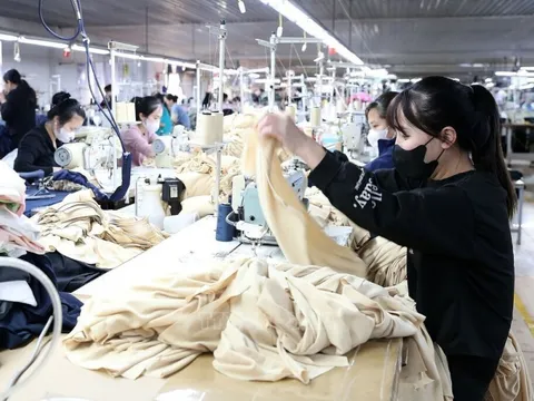 Không ký hợp đồng lao động: Doanh nghiệp sai luật, người lao động cần làm gì?