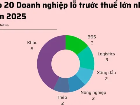 20 doanh nghiệp lỗ trước thuế lớn nhất năm 2025: HAGL Agrico lỗ gần 1.000 tỷ, bất động sản, logistics chiếm sóng