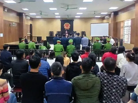 Môi giới hối lộ, trùm giang hồ Mạnh "gỗ" nhận 3,092 tỉ đồng, đưa kiểm lâm 36,5 triệu đồng
