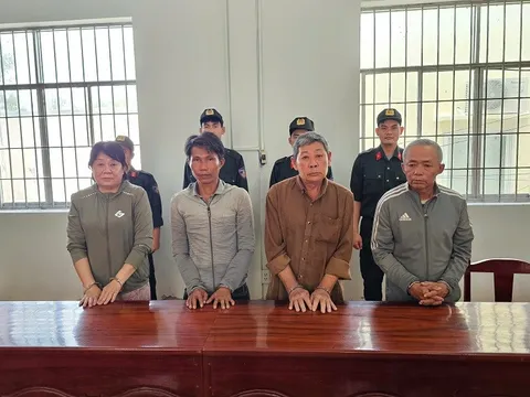 Thi hành lệnh bắt tạm giam, khám xét nơi ở của Lâm Thị Hồng Hạnh