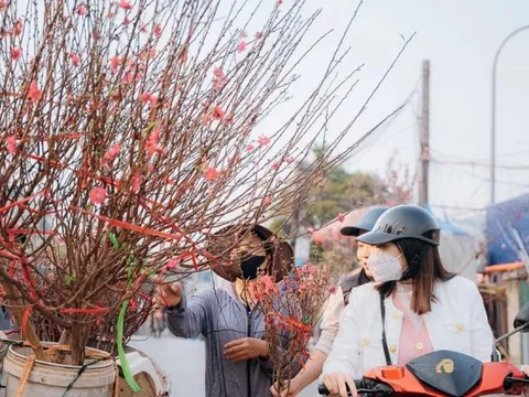 Miền Bắc nắng ấm trước khi chuyển mưa rét