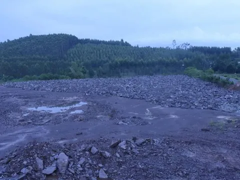 Một cựu Phó Trưởng phòng Tài nguyên và môi trường bị khởi tố