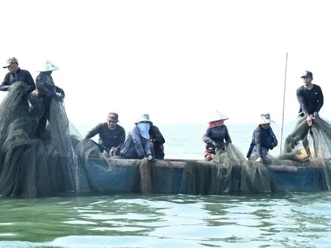 Người dân bám hồ mưu sinh, giữ nhịp xuân giữa mênh mang sóng nước trên hồ Trị An