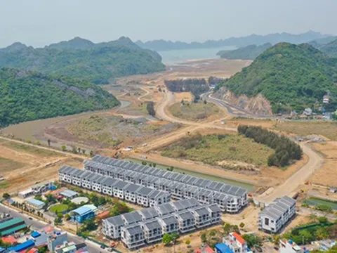 Doanh nghiệp bất động sản tất bật M&A trong năm 2025