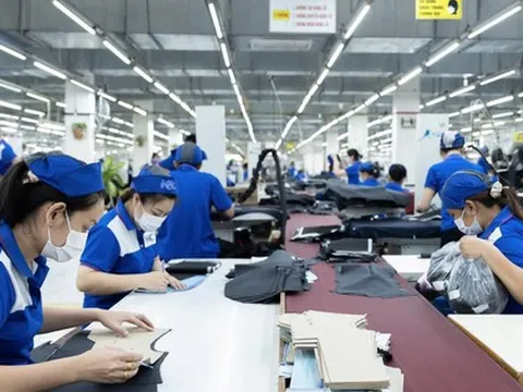 Nhìn lại một năm thăng trầm thị trường việc làm