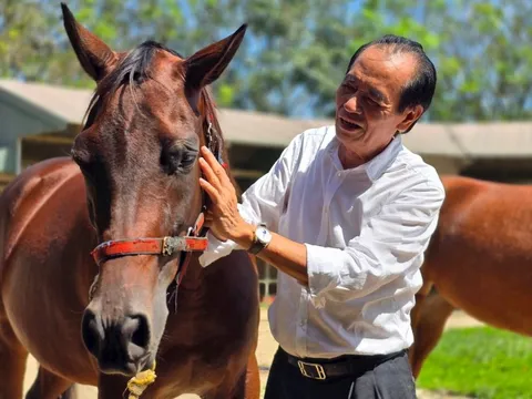 Cụ ông U80 quê Hà Tĩnh: 76 tuổi vẫn làm Chủ tịch 'cầm trịch' dự án trường đua ngựa 1.550 tỷ đồng