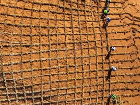 Phát minh chưa từng có trên thế giới của Trung Quốc: biến sa mạc thành đất màu mỡ chỉ trong 10 tháng, hiệu quả cao nhưng chi phí thấp