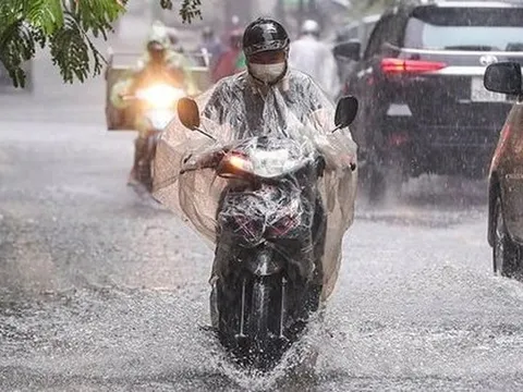 Dự báo thời tiết 26/2: Miền Bắc mưa rào rải rác, có dông cục bộ, đêm và sáng sớm trời rét