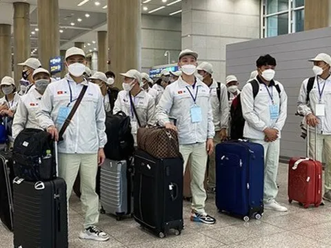 Tạm dừng hoạt động đưa người lao động đi làm việc tại khu vực Trung Đông