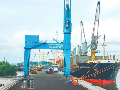 Nắm giữ gần 900 tỷ tiền mặt, một doanh nghiệp cảng biển 6.500 tỷ chốt ngày chi cổ tức tiền mặt 20%