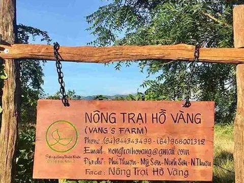 “Nông trại Hồ Vàng” của ông Thích Nhuận Đạt?