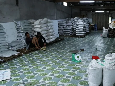 Kiểm tra cửa hàng vật tư nông nghiệp, thu giữ hàng chục tấn phân bón không phép