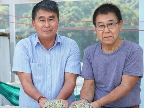 Sau biến cố siêu bão, lão nông Việt nuôi “kho báu” dưới nước, mỗi năm thu về 150 tỷ đồng