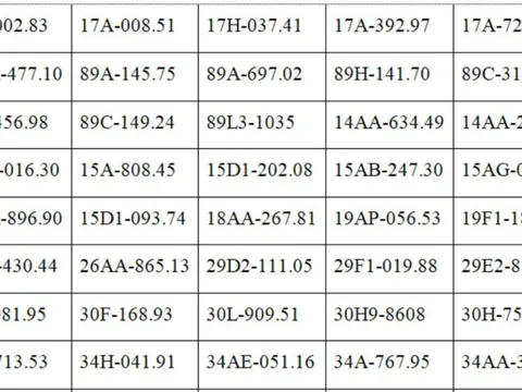 Tất cả chủ xe máy, ô tô trong danh sách sau đây phải nộp  phạt nguội theo Nghị định 168