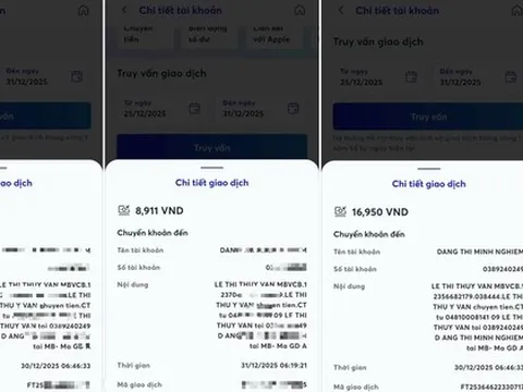 Một phụ nữ lừa đảo chiếm đoạt tài sản với thủ đoạn hiếm thấy