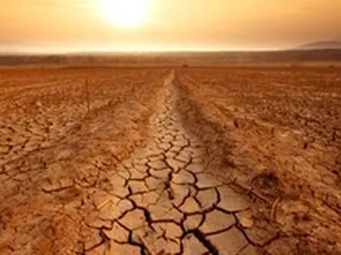 Vietcap: El Nino "tái xuất" sau tháng 8, lộ diện những mã cổ phiếu tiềm năng