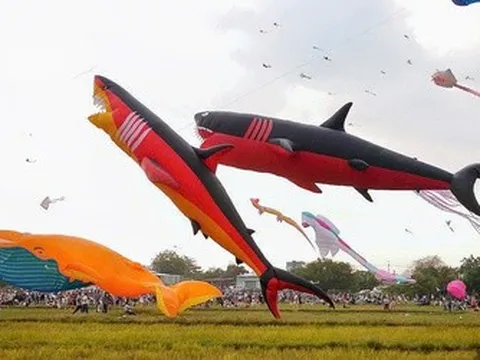 “Biển diều” khổng lồ phủ kín đồng diều Hóc Môn, người dân đổ về đông nghẹt mỗi ngày