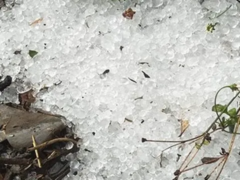 Mưa đá, giông lốc "càn quét" miền Bắc: Hàng trăm nhà tốc mái, hoa màu tan hoang