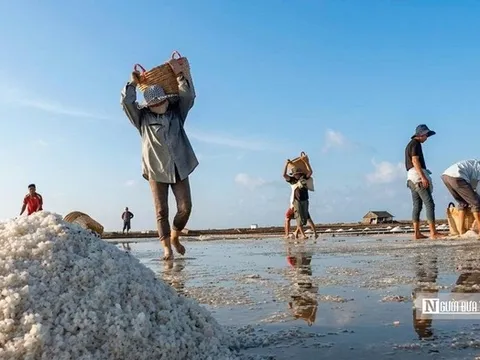 Theo chân diêm dân “nuôi” muối giữa nắng, gió và mồ hôi