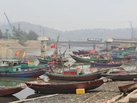 Ngư dân chật vật giữa mùa cá: Ra khơi lo lỗ, ở bờ lo đói