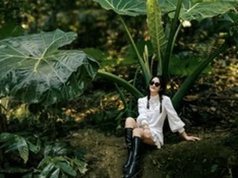 Du khách hóa “người tí hon” giữa rừng Cúc Phương