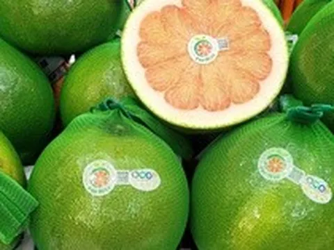 Thêm 2 loại trái cây phổ biến của Việt Nam được xuất chính ngạch sang Trung Quốc