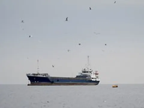 Tàu chở dầu 'ùn ùn' kéo về, thăm dò ngày Iran mở cửa eo biển Hormuz