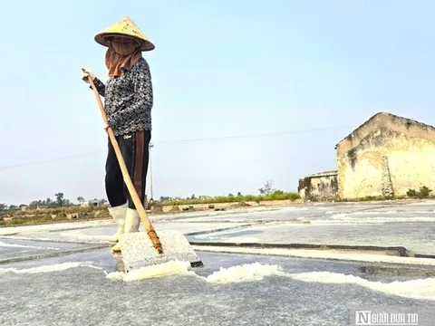 Phơi mình dưới nắng gắt sản xuất "vàng trắng"