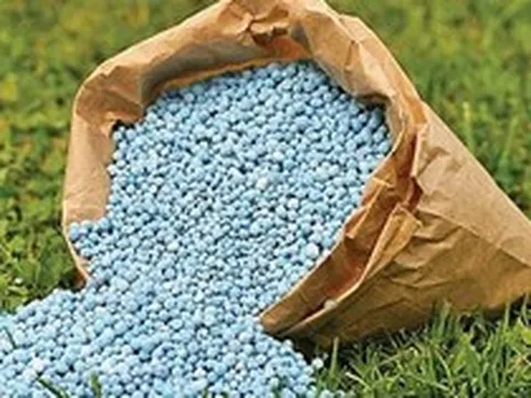 Khủng hoảng kép đẩy giá phân bón châu Âu leo thang