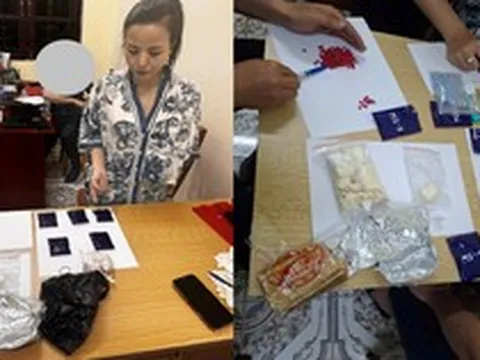 Khám xét khẩn cấp chỗ ở, bắt giữ Nguyễn Hoàng Anh