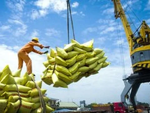 Một mặt hàng 'tỷ đô' của Việt Nam đón tin cực vui từ Philippines và Trung Quốc - triển vọng mang về 5 tỷ USD