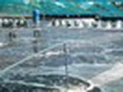 Không phải đất hiếm hay sầu riêng, một mỏ vàng của Việt Nam vừa mang về 1,5 tỷ USD: Mỹ, Trung Quốc đều là ‘khách ruột’, nước ta xuất khẩu đứng thứ 3 thế giới