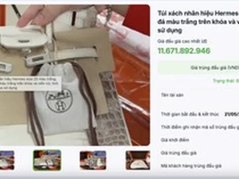 Đấu giá thành công 2 túi Hermès bạch tạng của Trương Mỹ Lan, thu hơn 14 tỷ đồng
