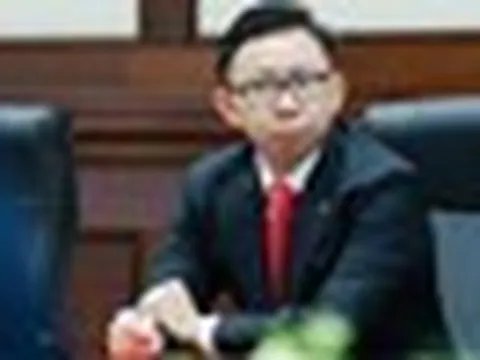 Con trai tỷ phú Phạm Nhật Vượng làm Chủ tịch HĐQT VinFast
