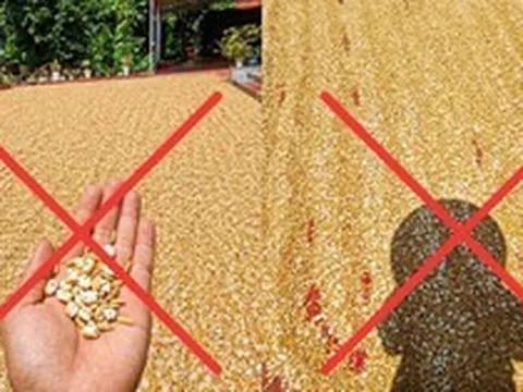 Cần xử nghiêm người đăng ảnh AI gây hoảng sợ trong nắng nóng cực độ ở miền Bắc