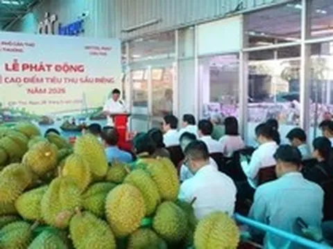 Cần Thơ 'giải cứu' sầu riêng