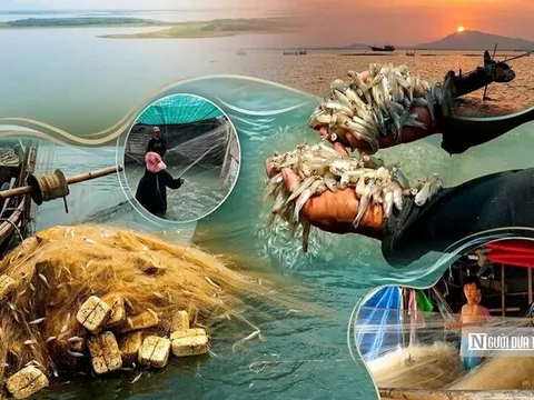 Theo chân người dân "xóm Việt kiều" mưu sinh bên hồ Dầu Tiếng