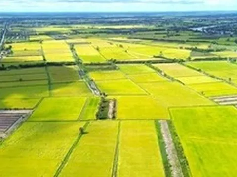 3 trường hợp được giảm 70% tiền sử dụng đất