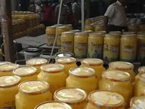Đột kích lúc nửa đêm, công an triệt phá đường dây sản xuất bơ và dầu ăn giả, tịch thu hơn 14 tấn sản phẩm pha trộn