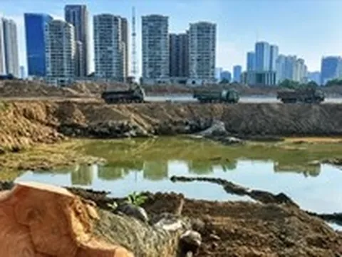 Hàng loạt cây xà cừ cổ thụ bị chặt hạ bên dự án hồ điều hòa Đồng Bông 2