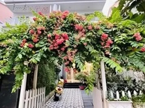 Nữ diễn viên cả đời đóng vai phản diện: U50 không muốn lấy chồng, một mình nuôi con trong biệt thự 4 tầng ở Sài thành