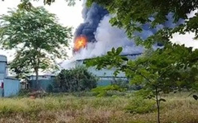 Cháy kèm tiếng nổ lớn trong nhà xưởng 7.000 m² ở TPHCM