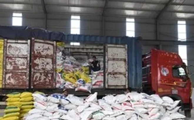 Vụ Trưởng khoa Dược Bệnh viện y học cổ truyền Trung ương: 50 tấn caffeine bị thu giữ có thể 'chế' thành 150 tấn ma túy