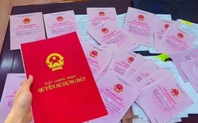 Tất cả người dân có sổ đỏ chú ý: Sẽ bị phạt tiền lên đến 100 triệu đồng nếu mắc lỗi sau